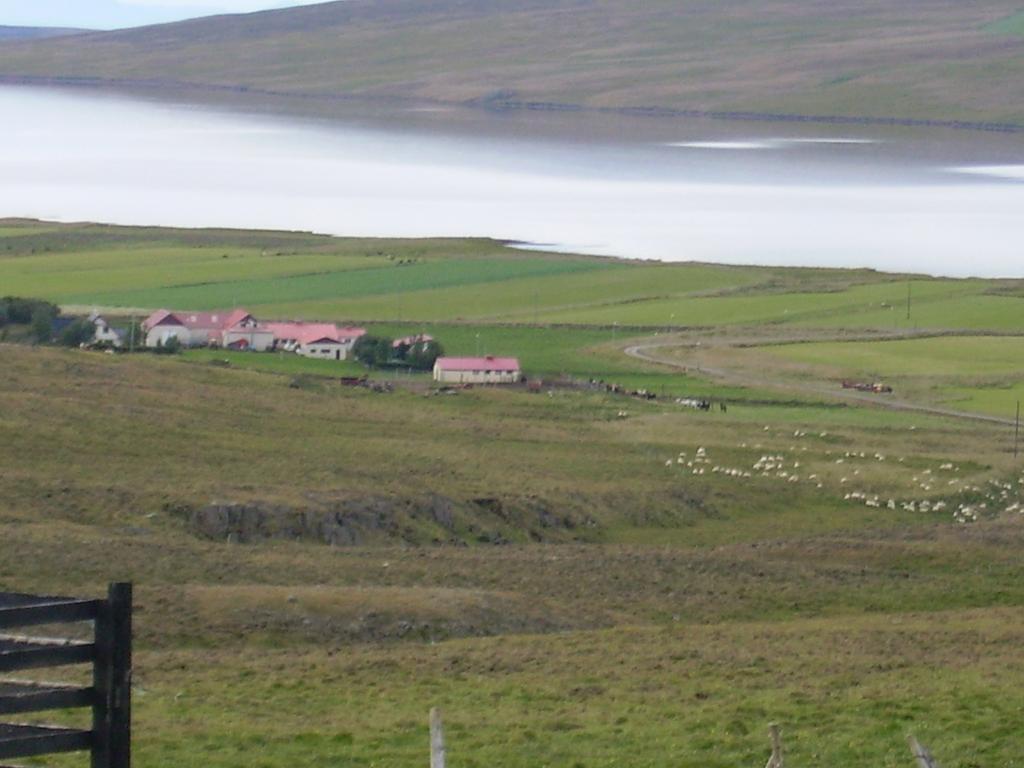 Stekkjardalur Holiday Home Svínavatn Exteriör bild
