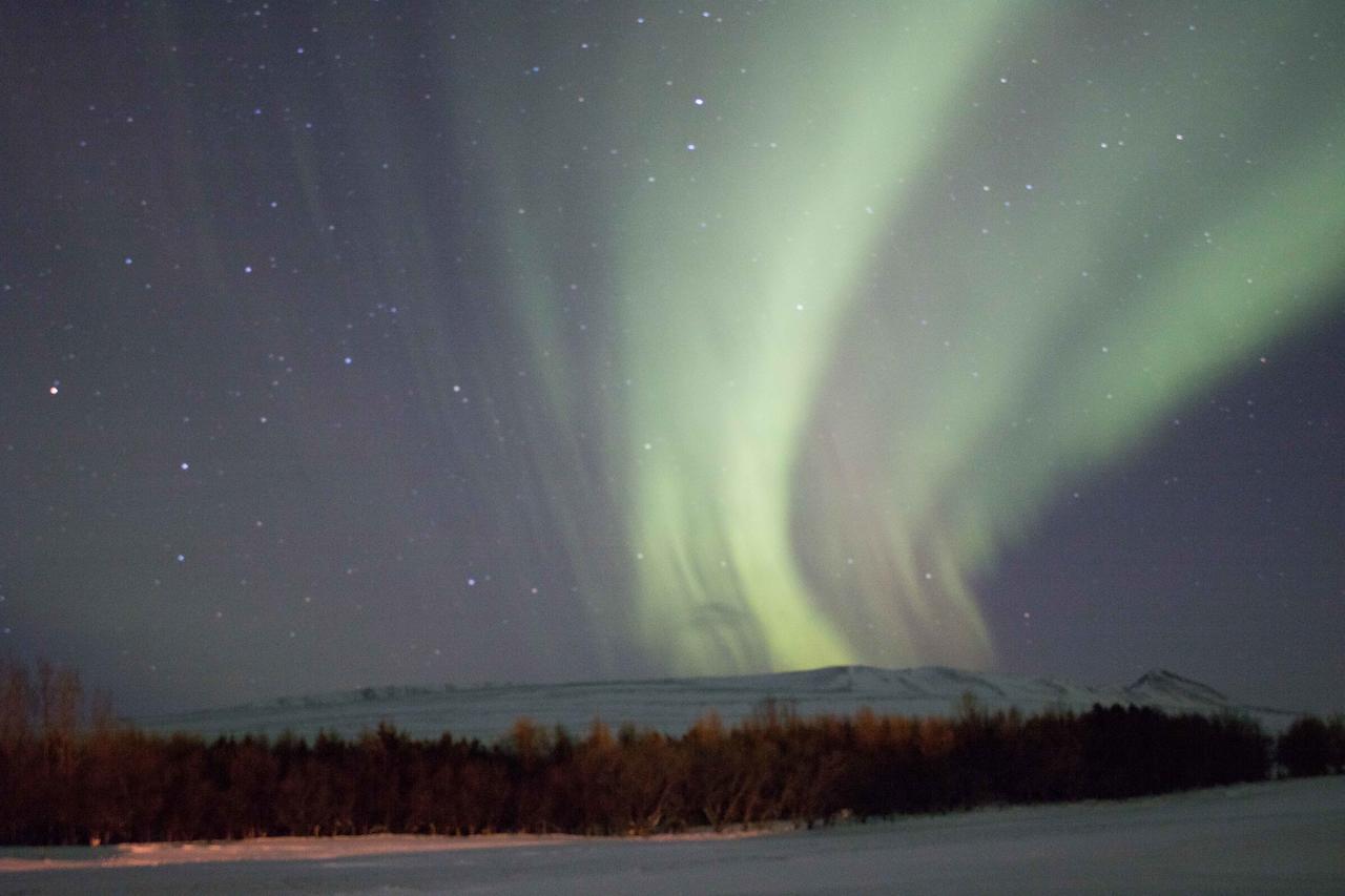 Stekkjardalur Holiday Home Svínavatn Exteriör bild